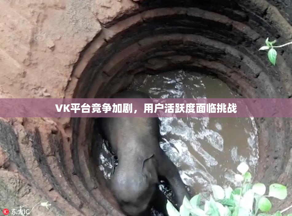VK平台竞争加剧，用户活跃度面临挑战