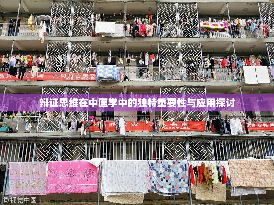 辩证思维在中医学中的独特重要性与应用探讨