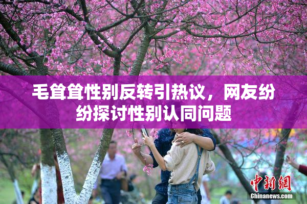 毛耸耸性别反转引热议，网友纷纷探讨性别认同问题