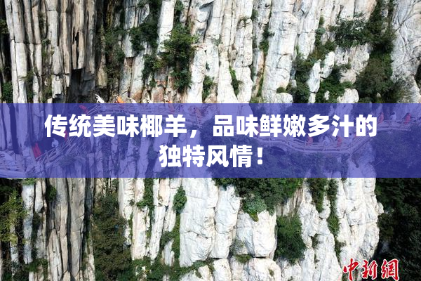 传统美味椰羊，品味鲜嫩多汁的独特风情！