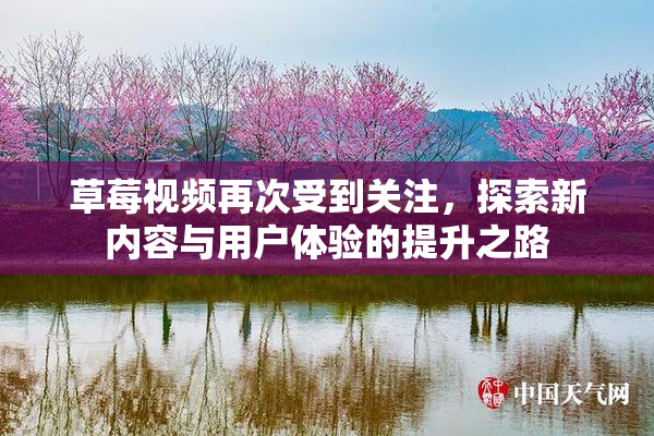 草莓视频再次受到关注，探索新内容与用户体验的提升之路