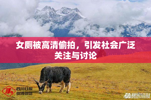 女厕被高清偷拍，引发社会广泛关注与讨论