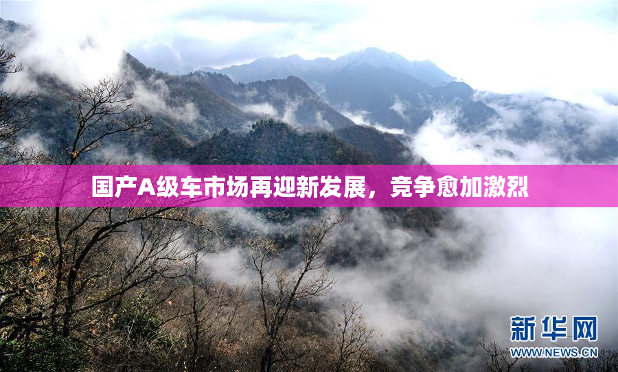 国产A级车市场再迎新发展，竞争愈加激烈