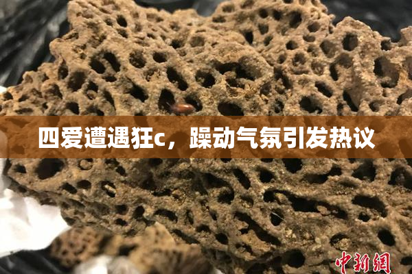 四爱遭遇狂c，躁动气氛引发热议