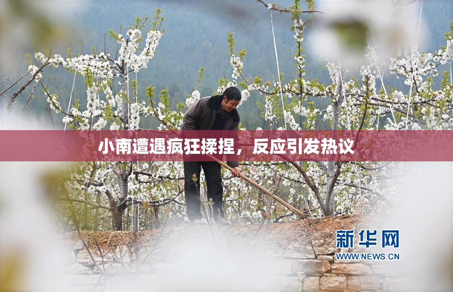 小南遭遇疯狂揉捏，反应引发热议