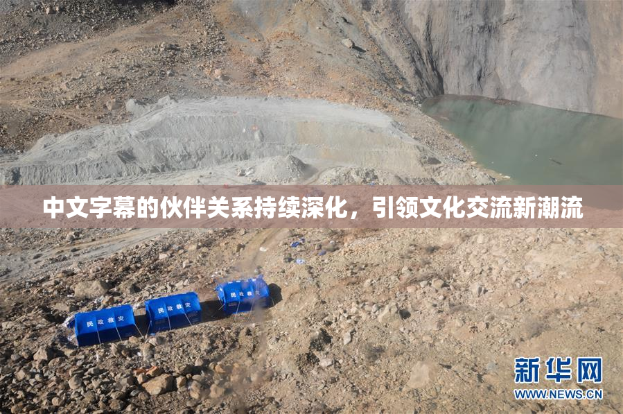 中文字幕的伙伴关系持续深化，引领文化交流新潮流