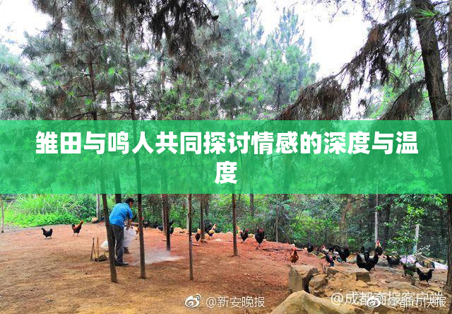 雏田与鸣人共同探讨情感的深度与温度