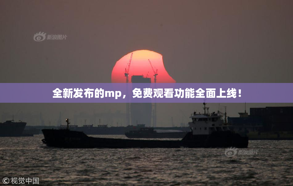全新发布的mp，免费观看功能全面上线！