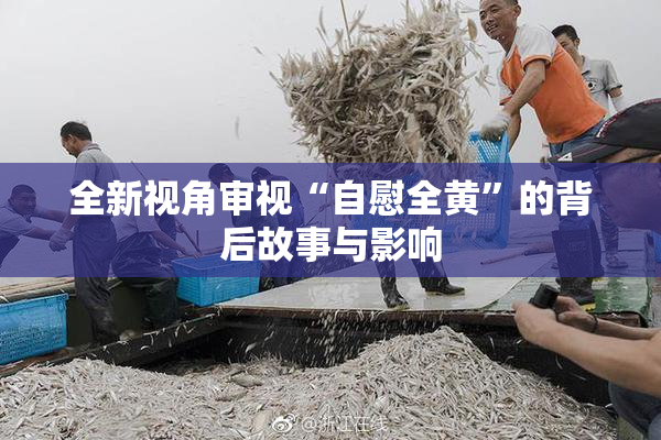 全新视角审视“自慰全黄”的背后故事与影响