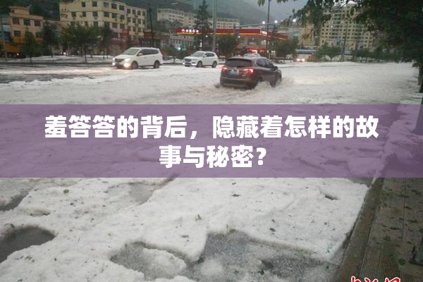 羞答答的背后，隐藏着怎样的故事与秘密？