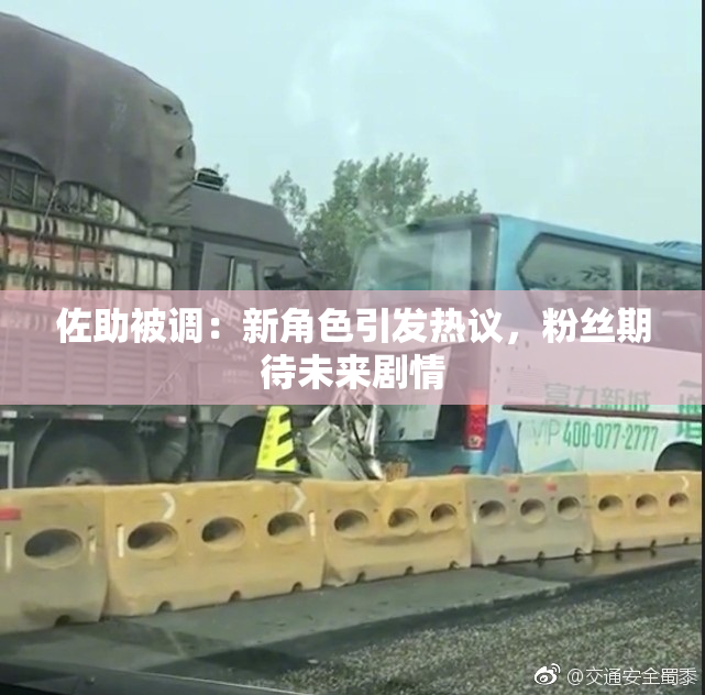 佐助被调：新角色引发热议，粉丝期待未来剧情