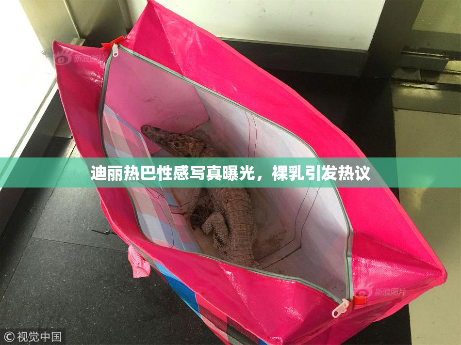 迪丽热巴性感写真曝光，裸乳引发热议