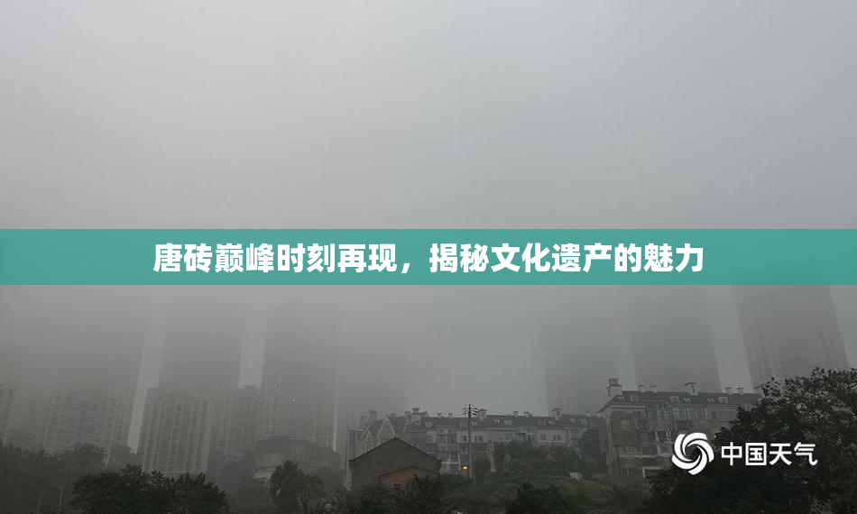 唐砖巅峰时刻再现，揭秘文化遗产的魅力