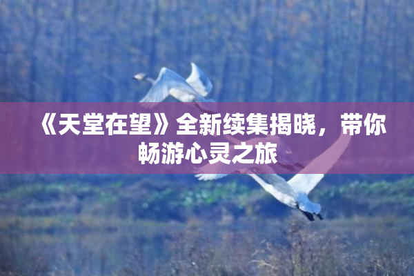 《天堂在望》全新续集揭晓，带你畅游心灵之旅