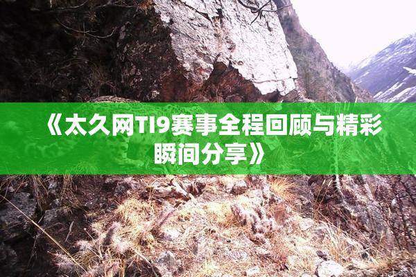《太久网TI9赛事全程回顾与精彩瞬间分享》