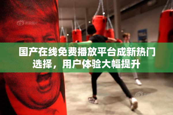 国产在线免费播放平台成新热门选择，用户体验大幅提升