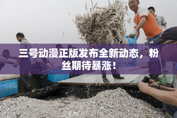 三号动漫正版发布全新动态，粉丝期待暴涨！