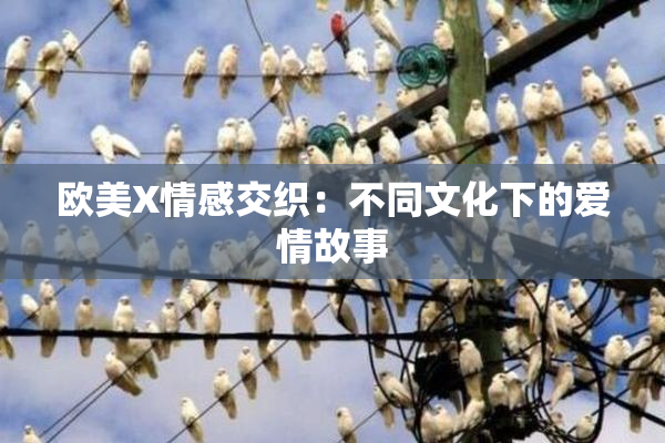 欧美X情感交织：不同文化下的爱情故事