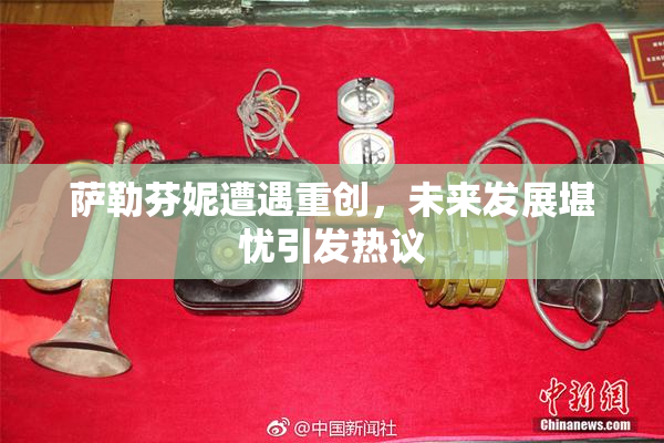 萨勒芬妮遭遇重创，未来发展堪忧引发热议