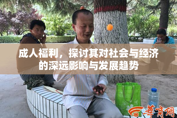成人福利，探讨其对社会与经济的深远影响与发展趋势