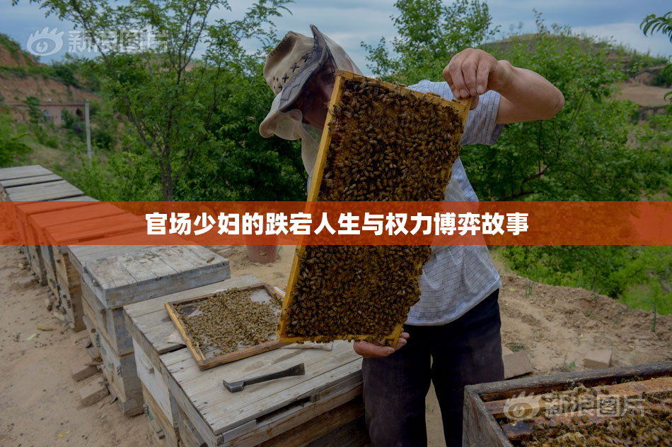 官场少妇的跌宕人生与权力博弈故事