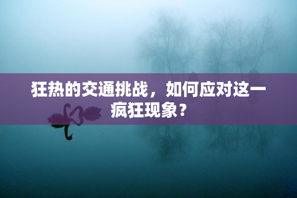 狂热的交通挑战，如何应对这一疯狂现象？