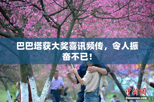 巴巴塔获大奖喜讯频传，令人振奋不已！