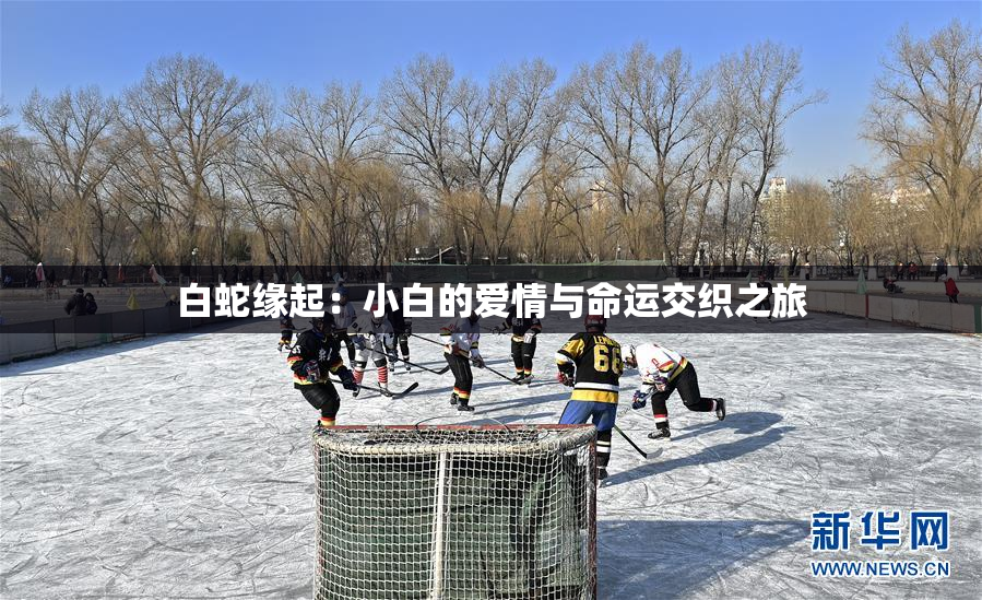 白蛇缘起：小白的爱情与命运交织之旅