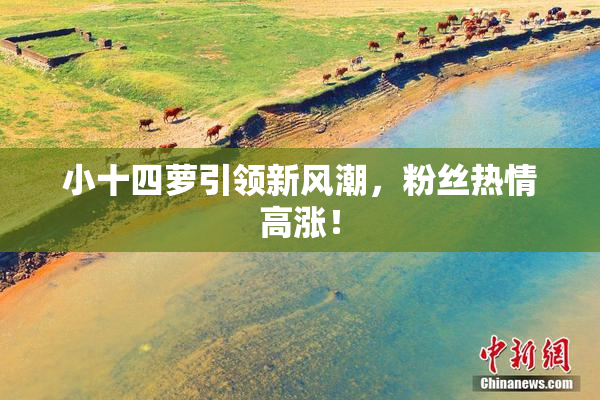 小十四萝引领新风潮，粉丝热情高涨！