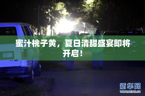 蜜汁桃子黄，夏日清甜盛宴即将开启！