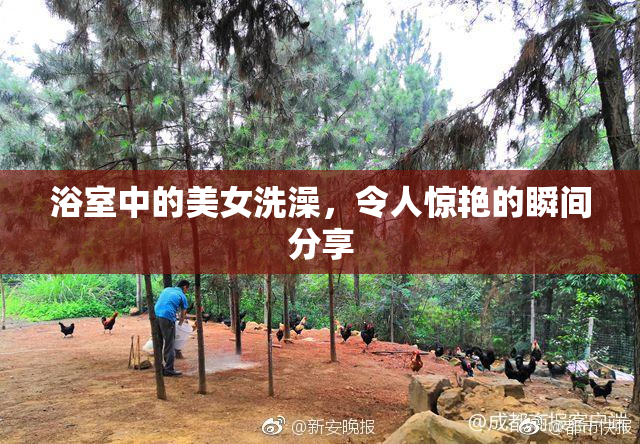 浴室中的美女洗澡，令人惊艳的瞬间分享