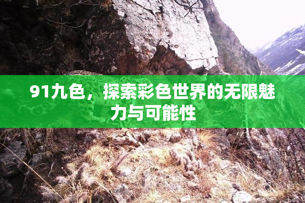 91九色，探索彩色世界的无限魅力与可能性