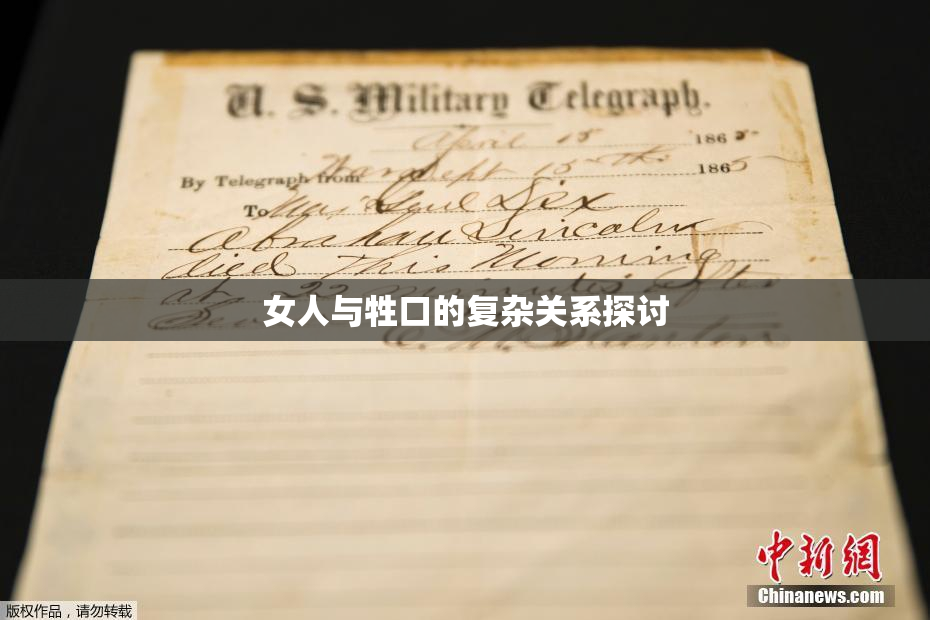 女人与牲口的复杂关系探讨