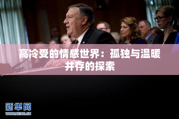 高冷受的情感世界：孤独与温暖并存的探索
