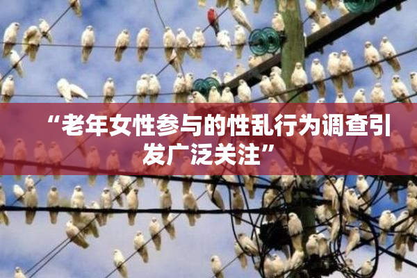 “老年女性参与的性乱行为调查引发广泛关注”