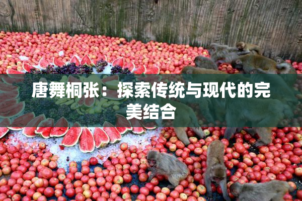 唐舞桐张：探索传统与现代的完美结合