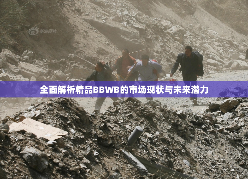全面解析精品BBWB的市场现状与未来潜力
