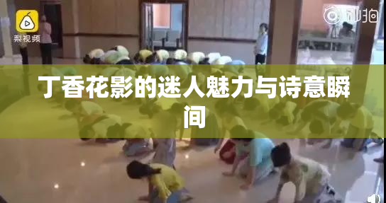 丁香花影的迷人魅力与诗意瞬间