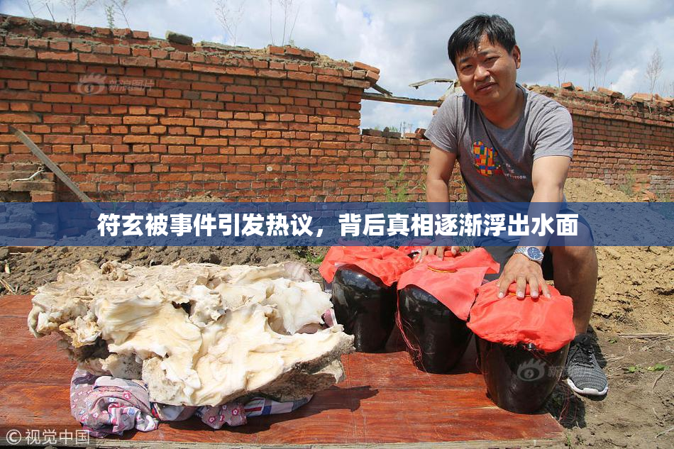 符玄被事件引发热议，背后真相逐渐浮出水面