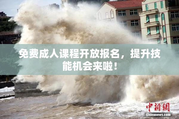 免费成人课程开放报名，提升技能机会来啦！