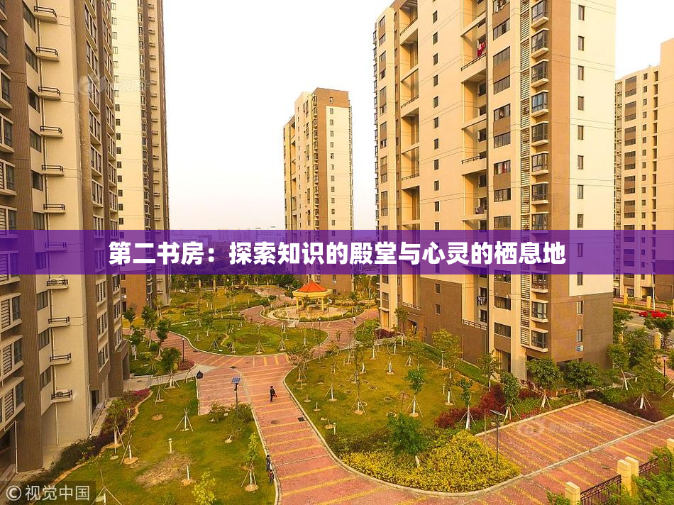 第二书房：探索知识的殿堂与心灵的栖息地