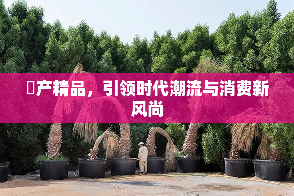 囯产精品，引领时代潮流与消费新风尚
