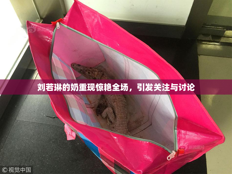 刘若琳的奶重现惊艳全场，引发关注与讨论