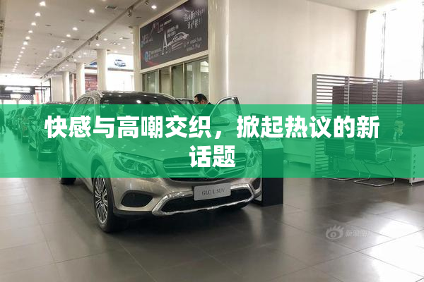 快感与高嘲交织，掀起热议的新话题