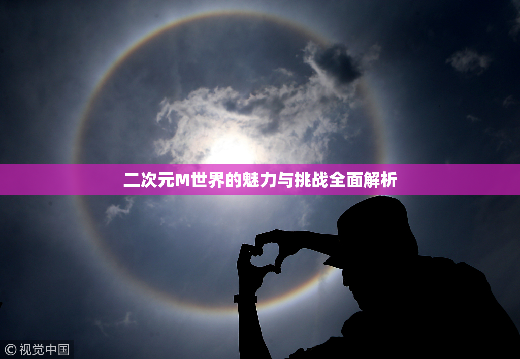 二次元M世界的魅力与挑战全面解析