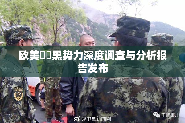 欧美❌‌黑势力深度调查与分析报告发布
