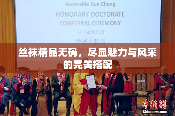 丝袜精品无码，尽显魅力与风采的完美搭配
