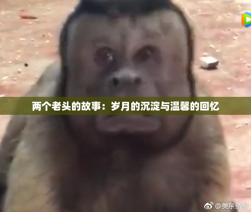 两个老头的故事：岁月的沉淀与温馨的回忆