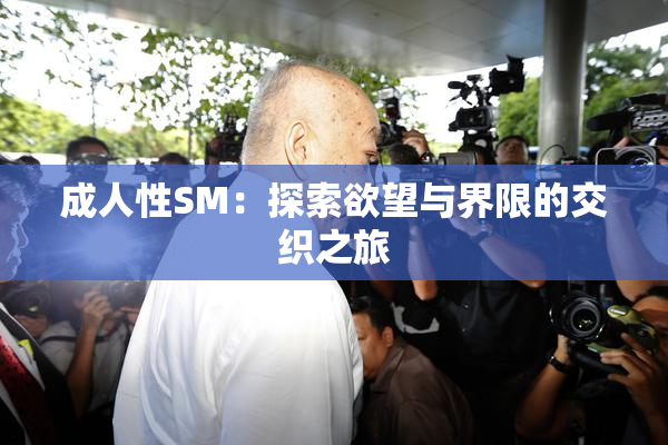 成人性SM：探索欲望与界限的交织之旅