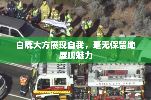 白鹿大方展现自我，毫无保留地展现魅力